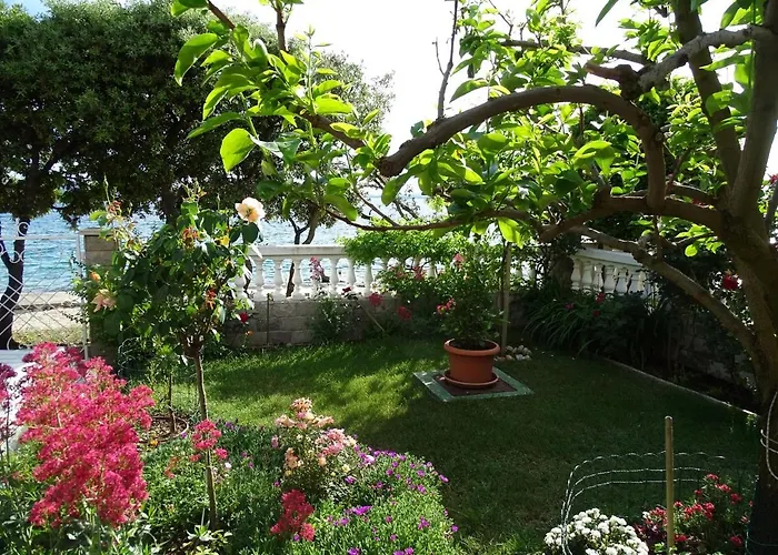 Apartman Vlahov Kozino